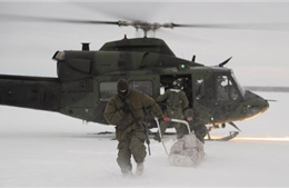 Nga loại bỏ nguy cơ đối đầu quân sự tại Bắc Cực 